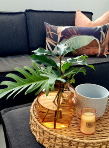 Designer Catherine Martin 'Tropicalia Sepia' Indoor Cushion Cover