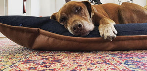 Vegan Leather & Denim Pet Bed